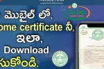 Meeseva certificate download Hyderabad 2025